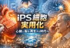 iPS細胞実用化｜心臓と脳を再生する時代へ