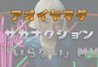 アオイヤマダの妖艶ダンスが炸裂！サカナクション「いらない」MV